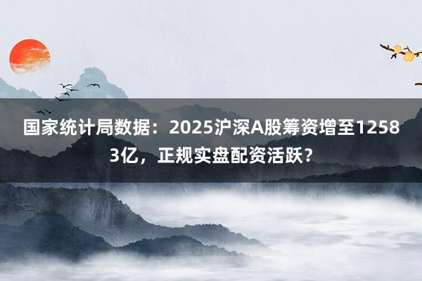 国家统计局数据：2025沪深A股筹资增至12583亿，正规实盘配资活跃？