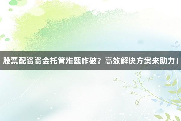 股票配资资金托管难题咋破？高效解决方案来助力！