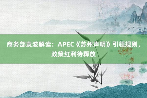 商务部袁波解读：APEC《苏州声明》引领规则，政策红利待释放