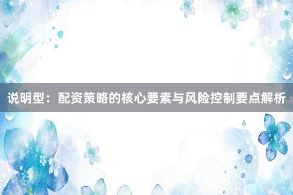 说明型：配资策略的核心要素与风险控制要点解析
