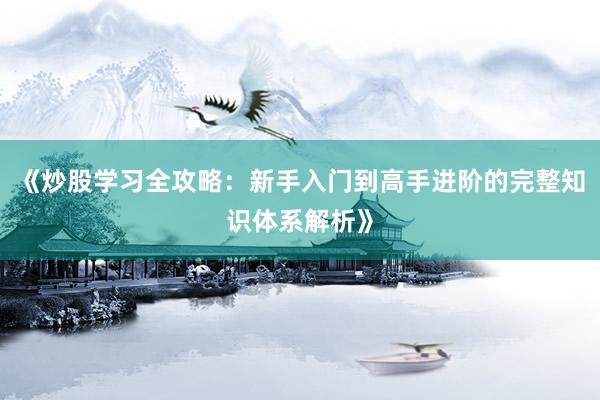 《炒股学习全攻略：新手入门到高手进阶的完整知识体系解析》